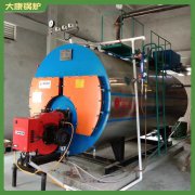 廣東7mw冷凝導(dǎo)油爐