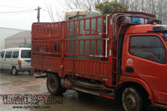 清明放假，貫流鍋爐發(fā)貨