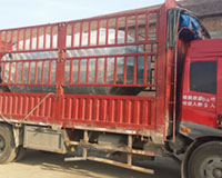 出口澳大利亞燃?xì)庹羝仩t