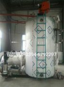 LSS4-1.6-Q型4噸貫流式燃?xì)庹羝仩t安裝現(xiàn)場(chǎng)