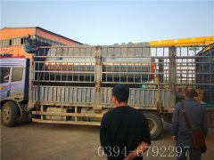 WNS2-1.25-QY型2噸燃?xì)庹羝仩t