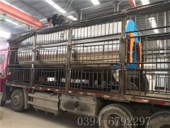 6噸燃氣蒸汽鍋爐