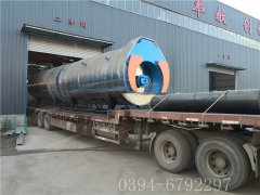 2臺6噸燃?xì)庹羝仩t